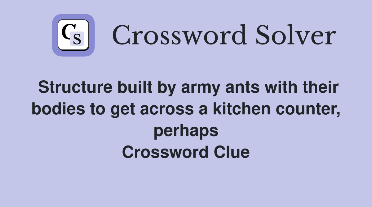 Structure built by army ants with their bodies to get across a kitchen